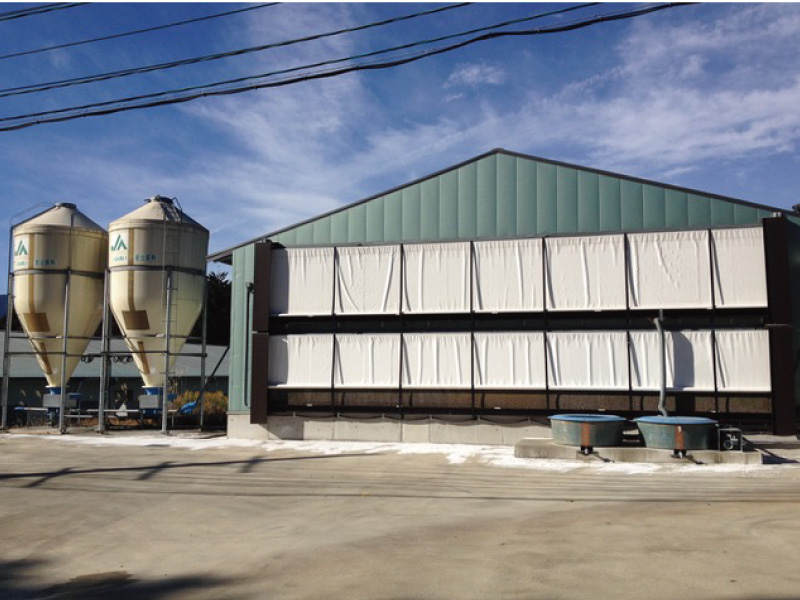 �x�m�{��{��